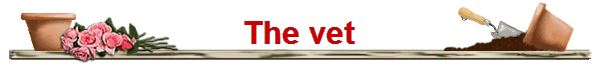 The vet